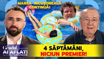 🚨 Ion Cristoiu – Ce se întâmplă cu Nicușor? „Ai aflat! Cu Ionuț Cristache”