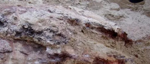 Descoperire incredibilă la Vaslui: Are cel puțin 7 milioane de ani vechime