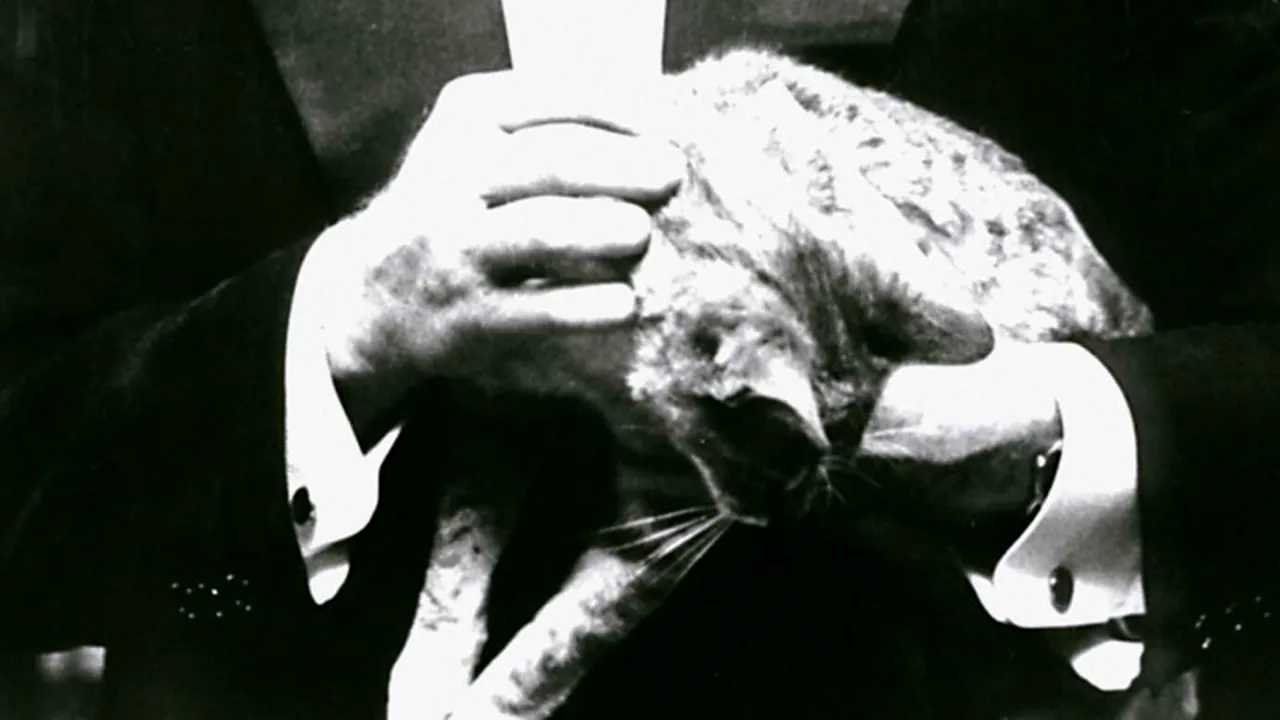 COLECȚIONARUL DE SECRETE. Pasiunea ilegală a unui monstru sacru al cinematografiei, descoperită la 8 ani de la moartea sa