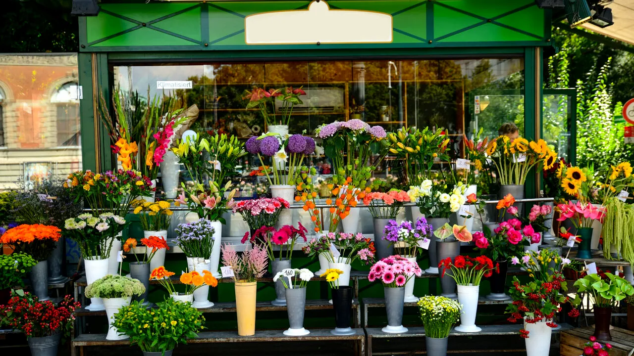 Ce flori să NU oferiți niciodată de 8 martie. Cei mai mulți nici nu știu că fac o greșeală