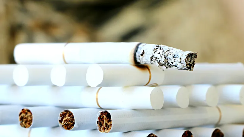 Mari producători din industria tutunului cer Guvernului ACCIZAREA pliculețelor cu nicotină, recent introduse pe piața din România