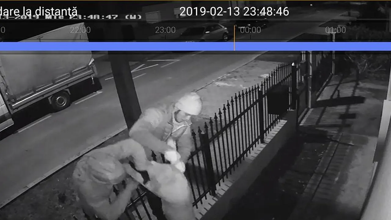 Culmea tupeului: Cum SE FURĂ un pui de LABRADOR în România chiar din curtea proprietarului
