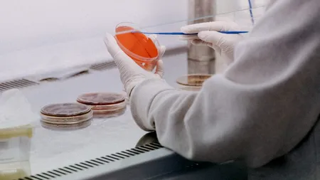 Grupul de Comunicare Strategică: 2415 de noi cazuri de infectare cu SARS-CoV-2 și 48 de decese, în ultimele 24 de ore. Peste 900 de persoane sunt internate la ATI