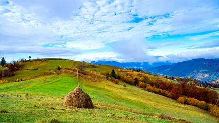 Satul din România cumpărat, în întregime, la prețul unui apartament! Are un singur locuitor