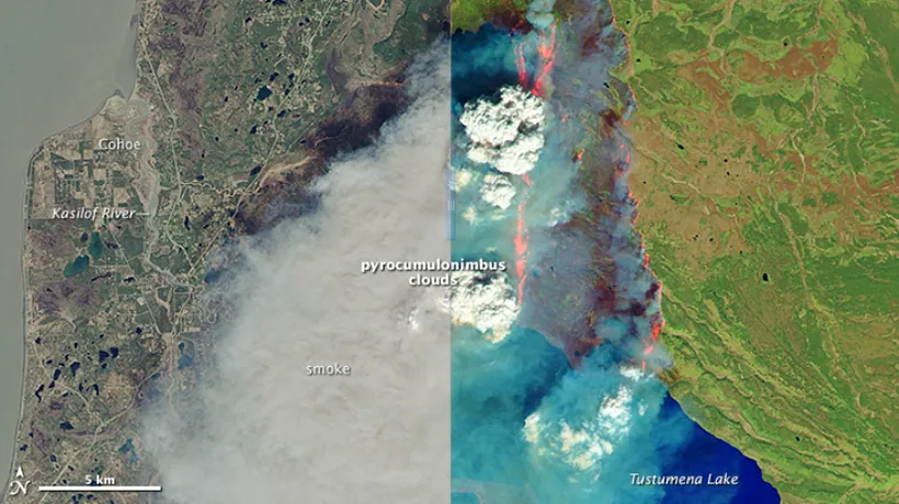 Cum arată un incendiu de pădure văzut din spațiu. Imagini surprinse de un satelit NASA