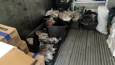 Resort „de lux” din COSTINEȘTI închis de urgență și amendat cu 72.000 de lei. Ireal ce au putut găsi inspectorii sanitari veterinari