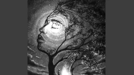 Iluzie optică virală | Ce vezi prima oară în imagine îți arată dacă ai o inteligență emoțională ridicată