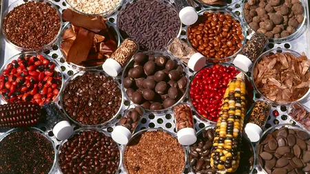 SEMINȚELE ajută foarte mult creierul uman. Prof.dr. Vlad Ciurea: „Toate favorizează procesele cerebrale” / Ce spune medicul despre semințele de in