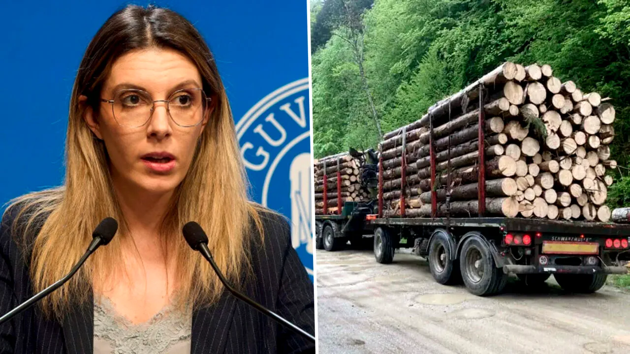 Diana Buzoianu cere ajutorul Inteligenței Artificiale pentru a apăra pădurile de hoți. Ce este sistemul SUMAL 3.0