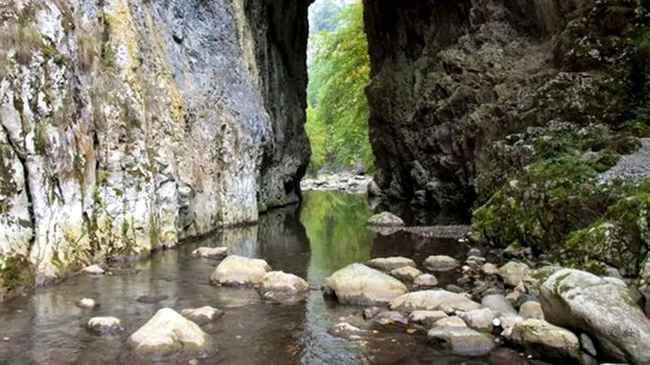 Cheile Râmețului - îngusta lume de apă și stâncă din Munții Trascăului 