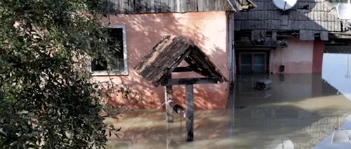 Carmen Dan inundații Facebook localități jandarmi viituri ploi