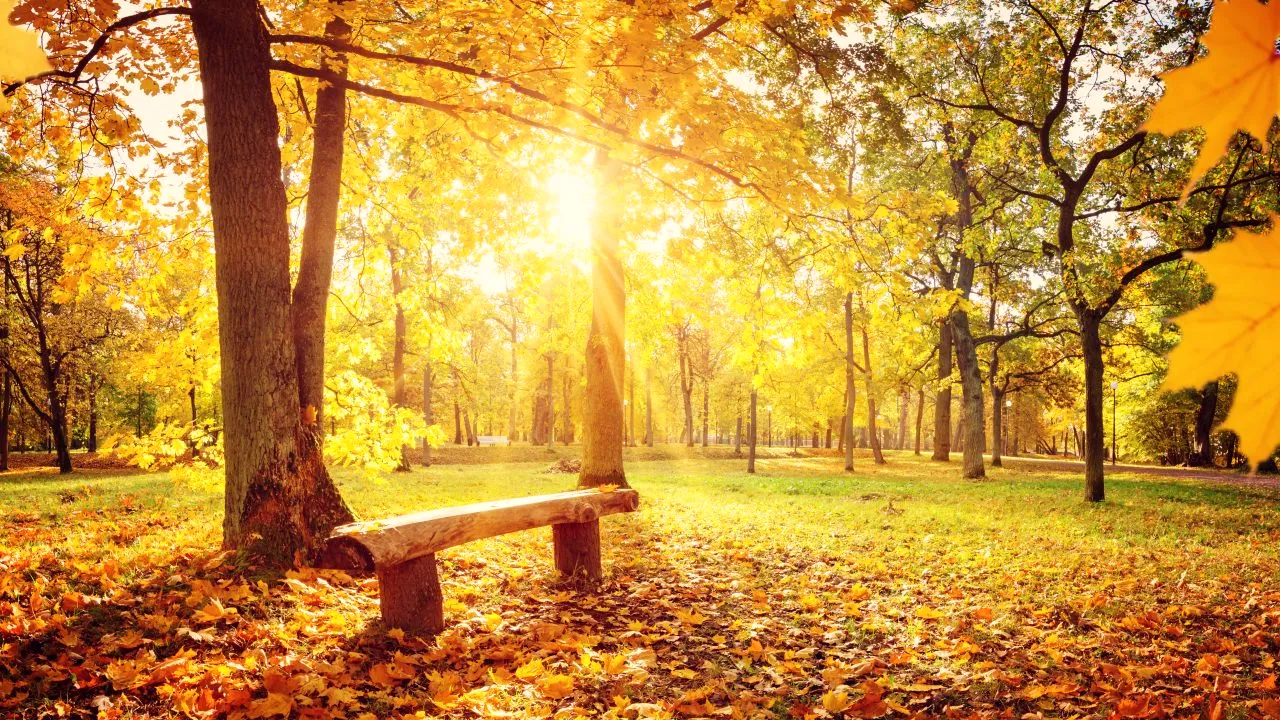 Temperaturile vor fi ușor mai mici decât cele normale zilele următoare. Cum va fi vremea până la începutul lunii septembrie