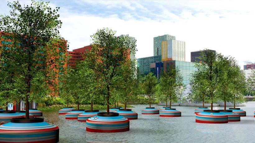 O pădure plutitoare va fi instalată în Rotterdam