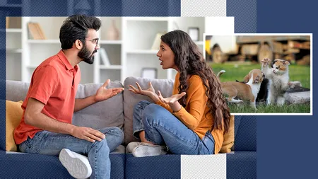 Inteligența artificială a sfătuit-o pe o femeie să divorțeze. Ea și soțul ei au ajuns în fața instanței din Iași