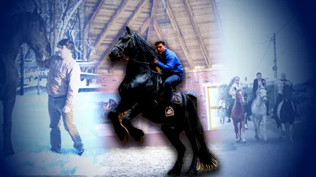 Povestea incredibilă a îmblânzitorului de cai din Parlamentul României. Deputatul a mers călare 350 km până la Alba Iulia