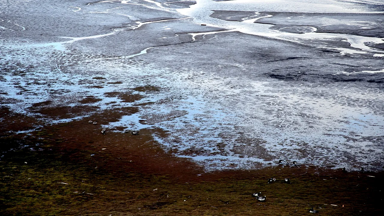 Bolile ascunse în gheață se trezesc. Cercetătorii se tem de un dezastru: S-ar putea deschide o cutie de boli a Pandorei