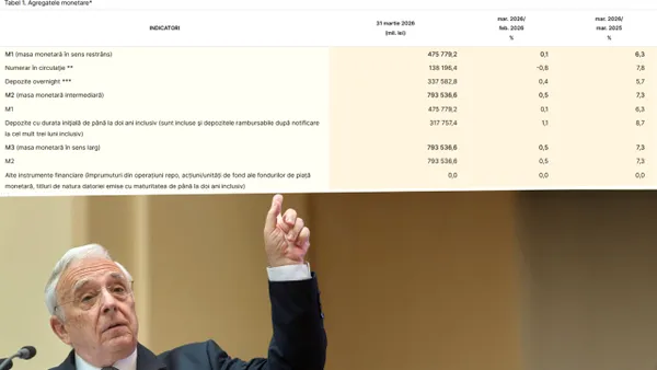 BNR a numărat toți banii din România. Câți lei sunt în total în circulație, cash sau în conturi în țară