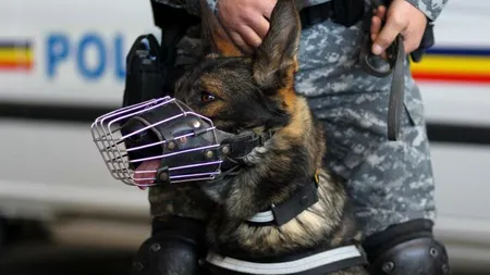 Percheziții în patru județe și în Capitală la persoane suspectate de furturi din conducte petroliere