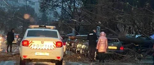 Încă un copac a căzut în Capitală peste trei mașini, pe Calea Giulești!