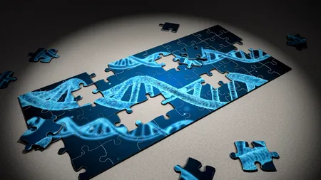 ASFV-G-Î”I177L, noul vaccin viu atenuat împotriva pestei porcine africane, dezvoltat în laboratoarele SUA. „A fost eficient 100%