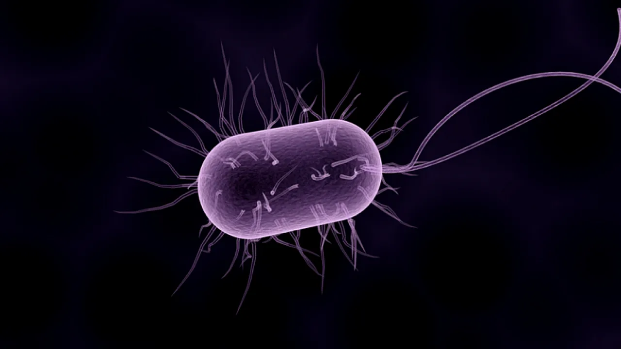 Vestea momentului în sănătate: România, scoasă de pe lista țărilor infectate!