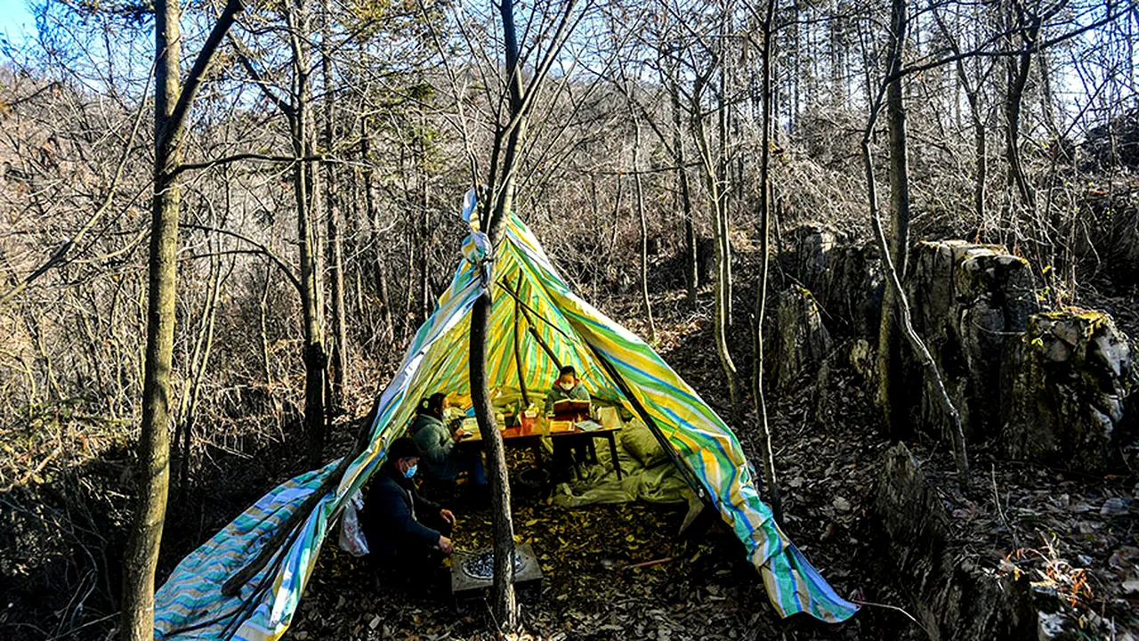 ȘCOALA în timpul PANDEMIEI. Cum elevii din întreaga lume s-au adaptat la învățarea de la distanță în plină criză a coronavirusului: Mi-a făcut mama un cort la marginea satului. Doar acolo aveam semnal bun la internet