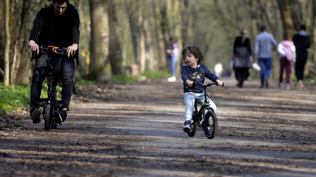 Romsilva contrazice raportul Corpului de Control al Ministerului Mediului: 