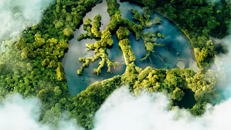 De ce e importantă adopția crypto pentru criza climatică?