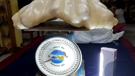 Un pescar a găsit, în urmă cu zece ani, o perlă de 34 de kg ce valorează 100 de milioane de dolari. Ce a făcut cu ea e de necrezut