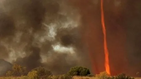 Fenomen extrem de rar în Australia. Un regizor a reușit să filmeze 