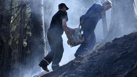 Incendiu puternic în nordul Craiovei, flăcările au mistuit șase hectare de pădure de pin