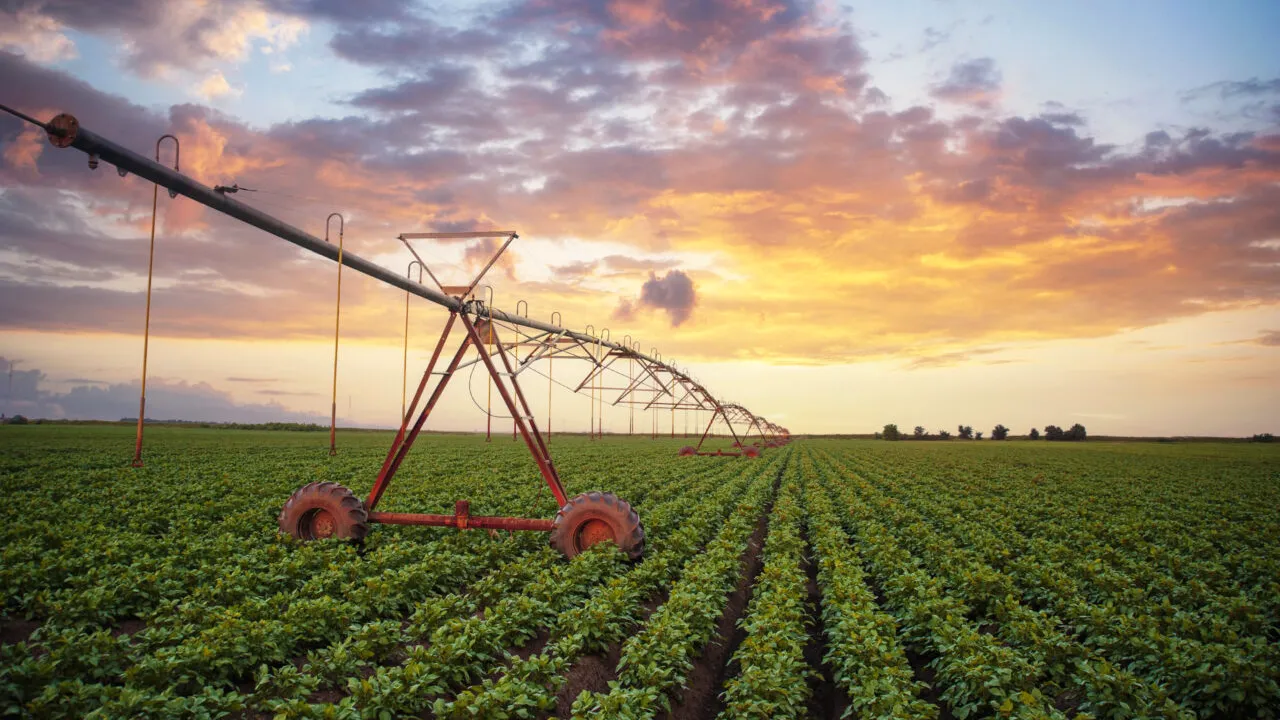 Experiența unui FERMIER care caută să angajeze oameni pentru irigații. „Există forță de muncă, dar oamenii vin doar dacă-i plătești bine”