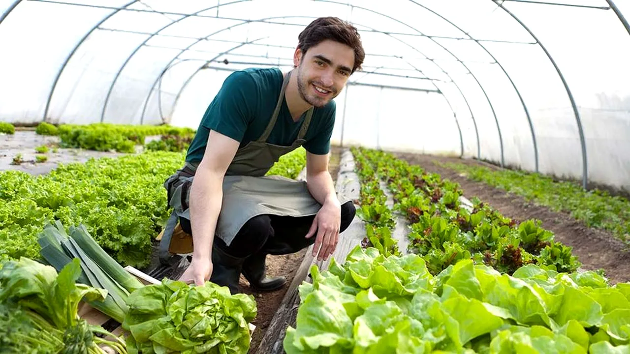 FINANȚARE: Pentru tinerii din diasporă sunt disponibile încă 23 milioane euro. Depunerea cererilor de finanțare pentru fondurile europene s-a prelungit