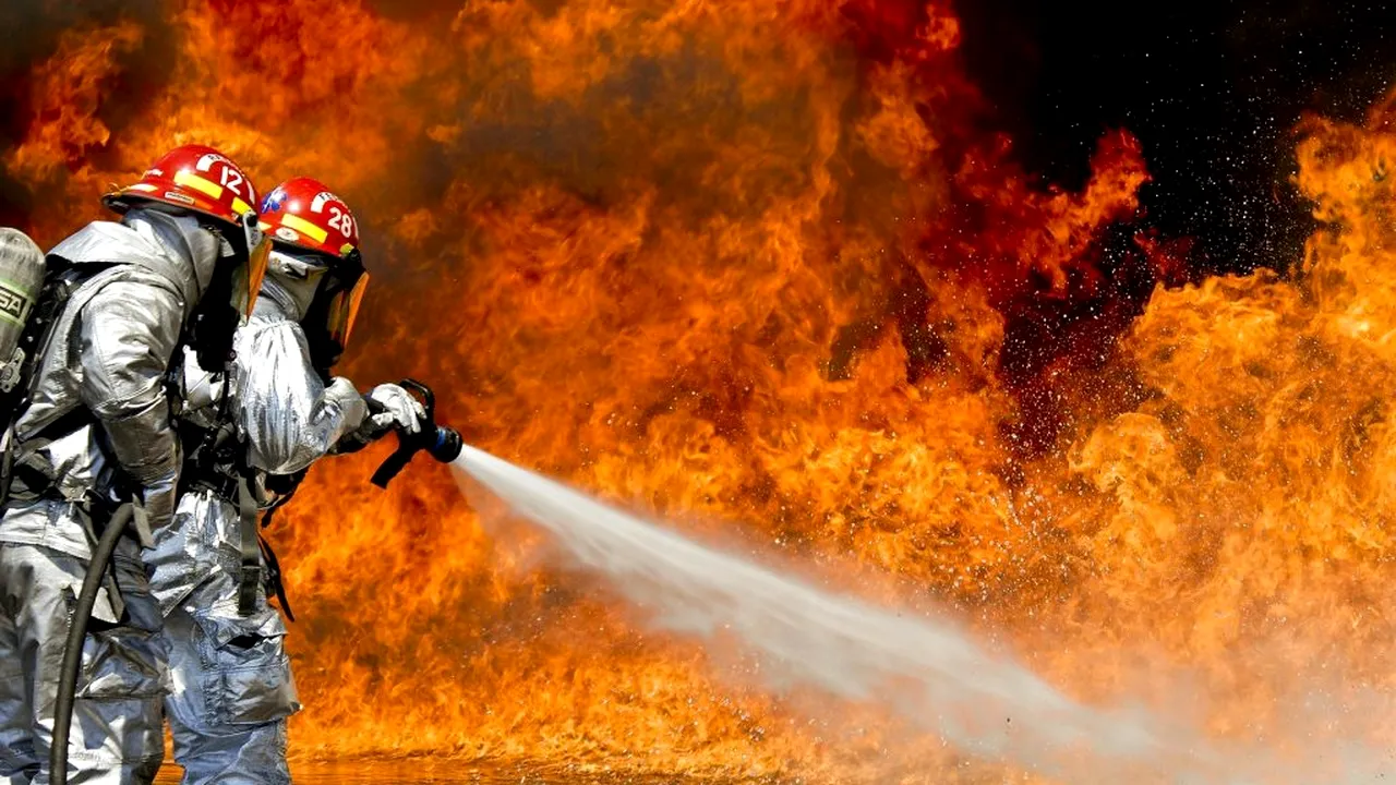 Opt porci și șapte purcei au ars într-un incendiu în Sânmartinu de Câmpie