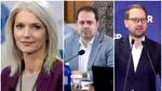 Alina Gorghiu acuză că secretarul general al Guvernului, fost șef de cabinet al lui Fritz, a girat 500.000 de euro pentru un ONG necunoscut