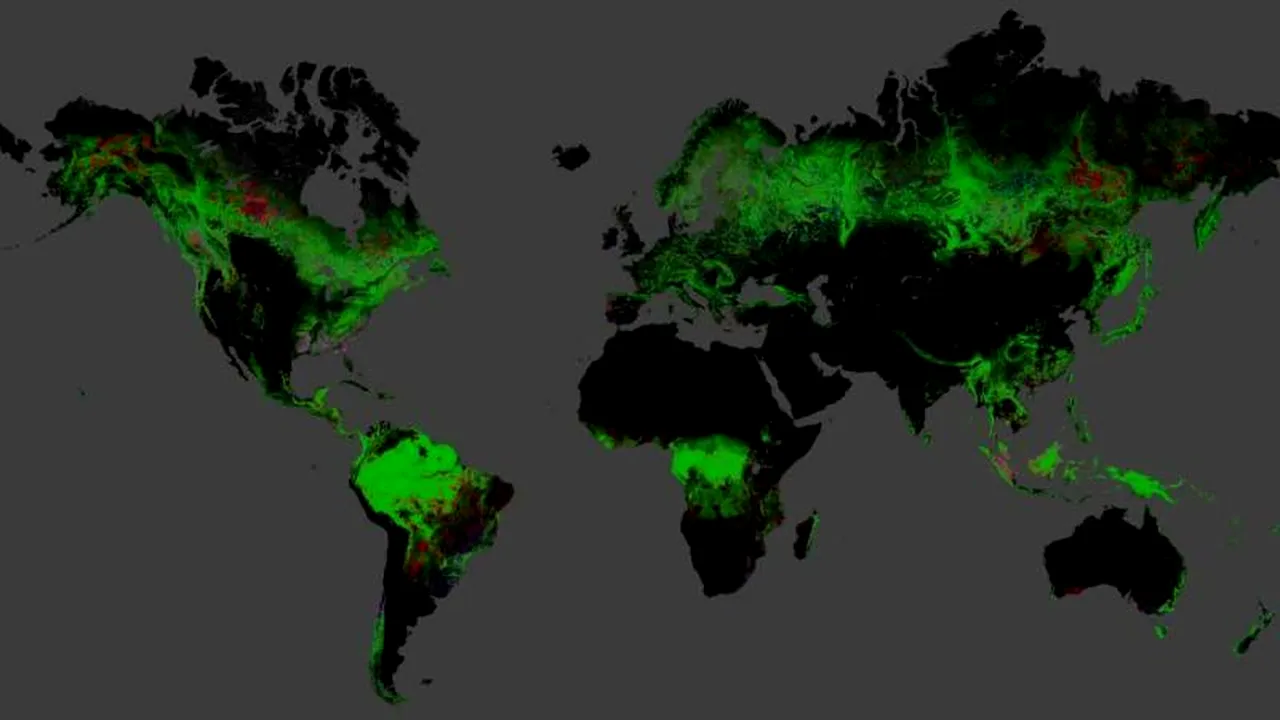 Cum arată România pe harta Google a despăduririlor