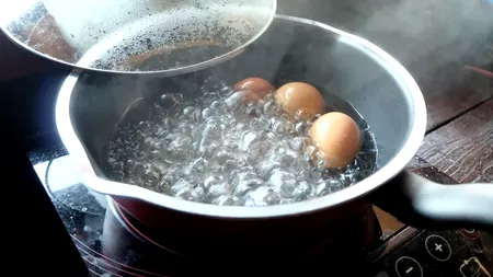 Care este PREȚUL unui ou de țară în 2024. A devenit un lux pentru mulți români