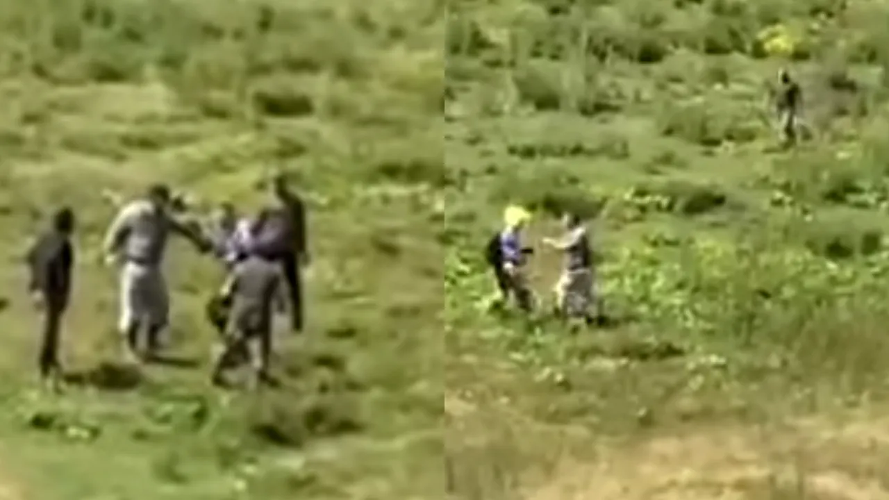 Belgian snopit în bătaie de un grup de ciobani din Bistrița-Năsăud. A vrut să-și ceară scuze și s-a ales cu lovituri crunte - VIDEO