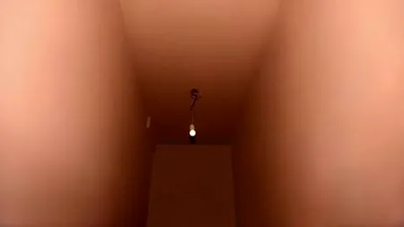 Doi fotografi olandezi surprind latura erotică a obiectelor banale