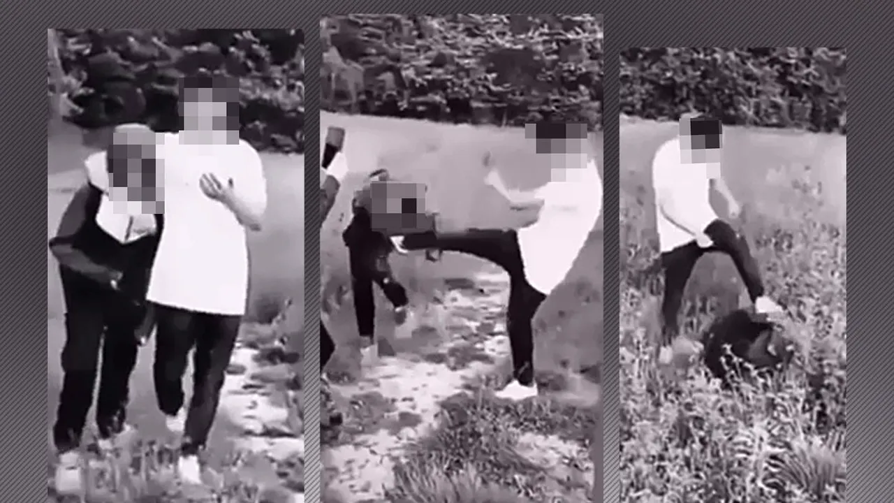 VIDEO | Copil BĂTUT CRUNT de un adolescent, pe un câmp din Bragadiru. Agresorul a fost prins de polițiștii din Ilfov