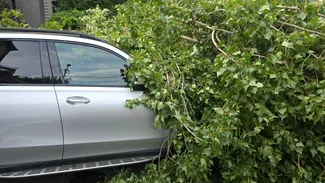 Cod ROȘU de vijelii, grindină și ploi torențiale în București. A fost transmis mesaj de avertizare RO-Alert / O femeie a murit, în Otopeni