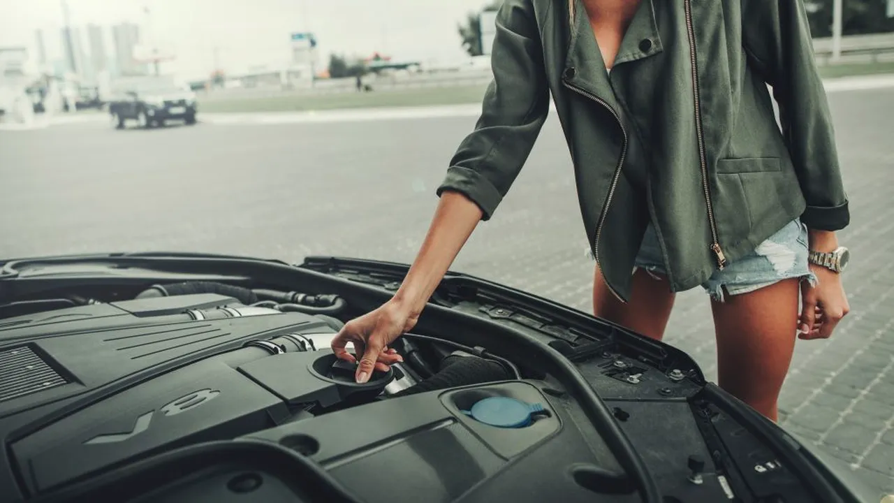 Descoperire bizară sub capota unei mașini: „Erau peste tot, sub baterie, lângă radiator... S-au mișcat foarte repede