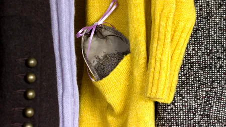 De ce să pui săculeți cu lavandă în dulapurile cu haine, în luna aprilie. La ce ajută, de fapt