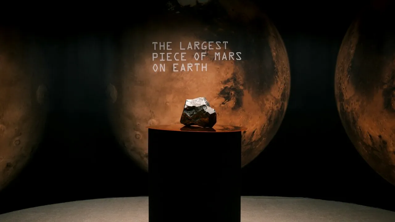 Cu cât s-a vândut la licitație un fragment rar de meteorit provenit de pe Marte. Este considerat cel mai mare descoperit vreodată pe Terra