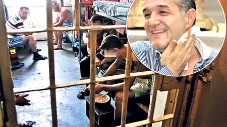 Gigi Becali a „găsit