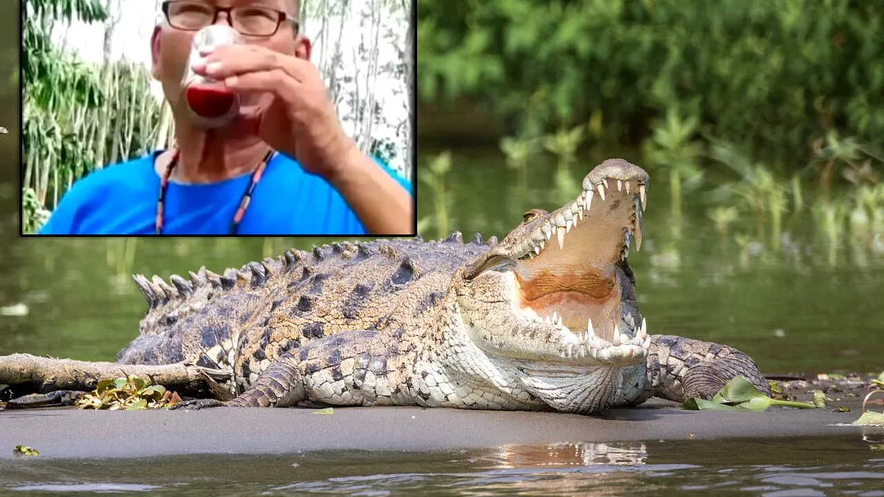 Motivul pentru care un milionar din Thailanda bea zilnic sânge de CROCODIL