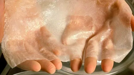 Noi speranțe pentru oamenii cu proteze. Cercetătorii au creat în laborator pielea artificială care reacționează la atingere la fel ca cea reală