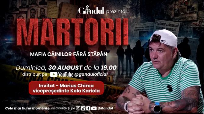 Duminică 30 august, de la ora 19.00, Gândul prezintă MARTORII- MAFIA CÂINILOR FĂRĂ STĂPÂN