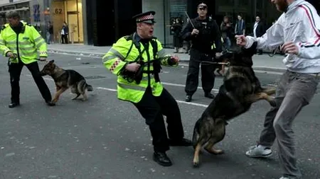 MOTIVUL pentru care un hoț din Marea Britanie a fost DESPĂGUBIT de polițiști