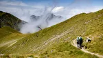 Tragedie în Munții Făgăraș: un turist de 55 de ani a murit după ce a căzut 200 de metri într-o râpă